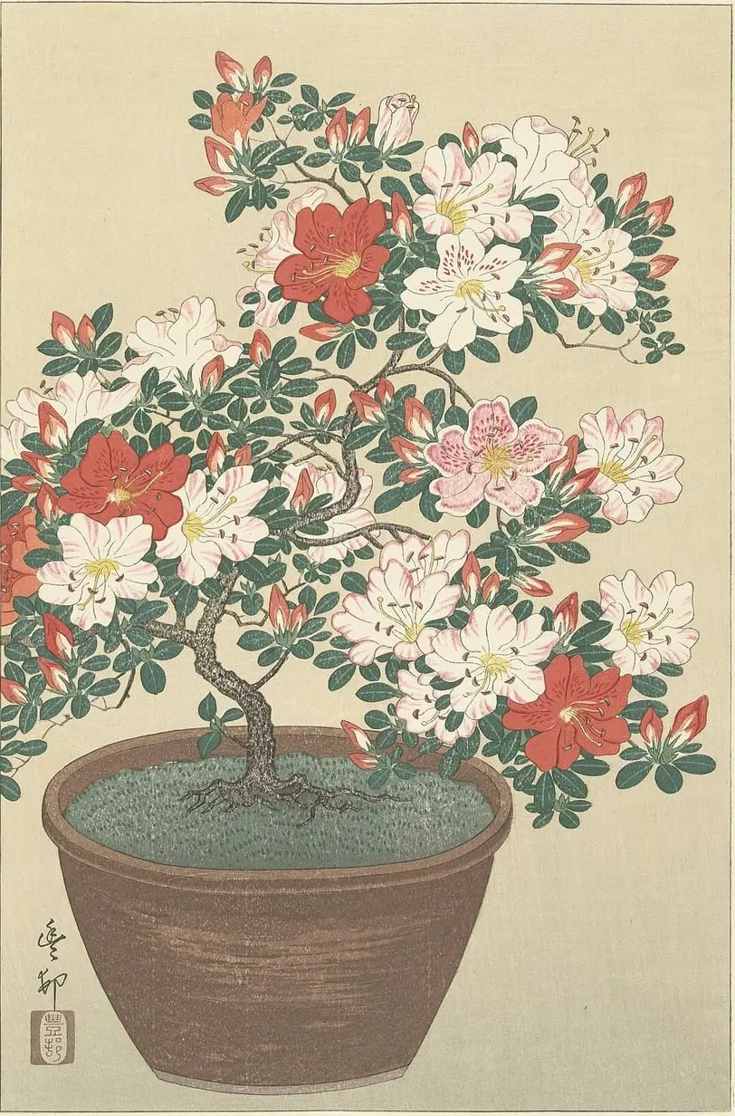 Bloeiende azalea in bruine pot by Ohara Koson, canvas print