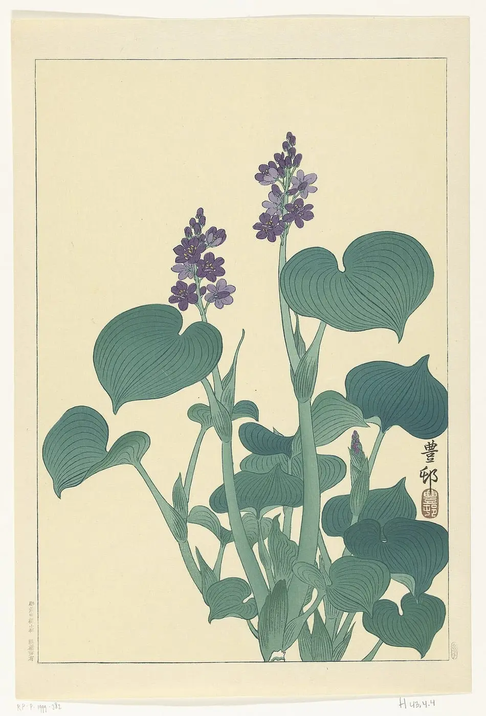 Bloeiende hosta by Ohara Koson, canvas print