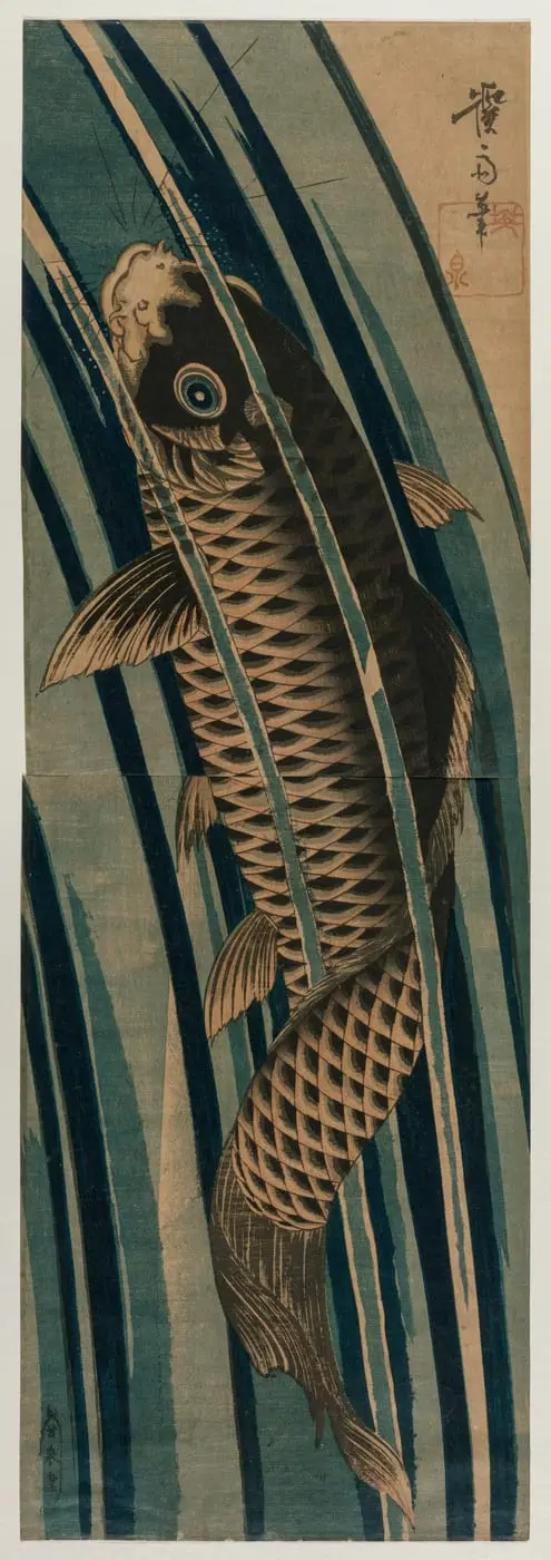 Carp Ascending a Waterfall by Keisai Eisen, canvas print