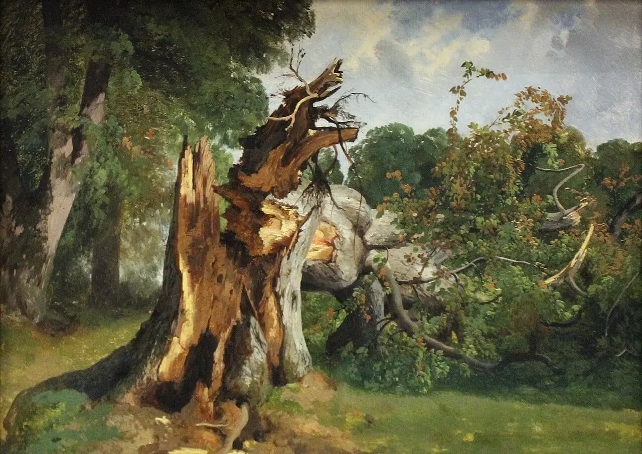 Étude de tronc by Alexandre Calame, canvas print