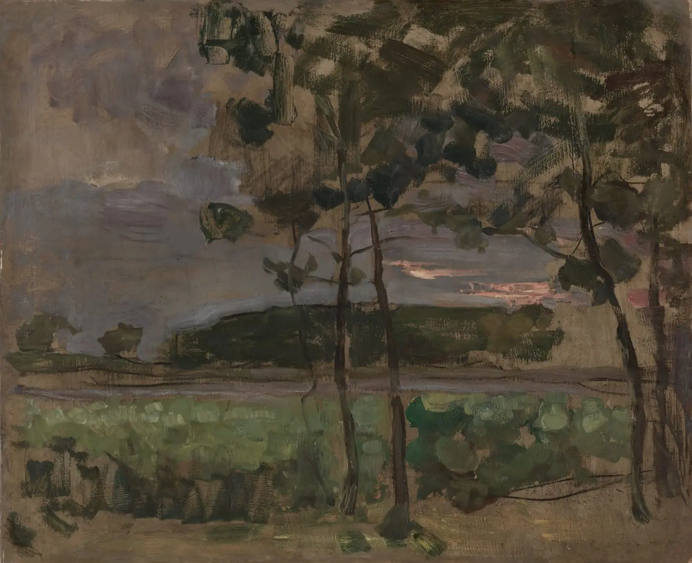 Field with Young Trees in the Foreground by Piet Mondrian, canvas print