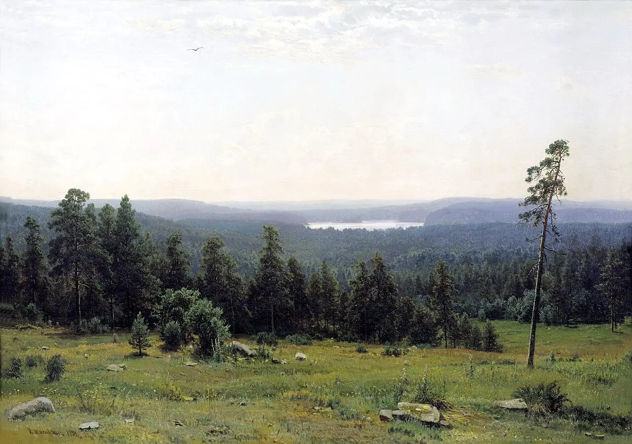 Forest distant views by Ivan Shishkin, canvas print