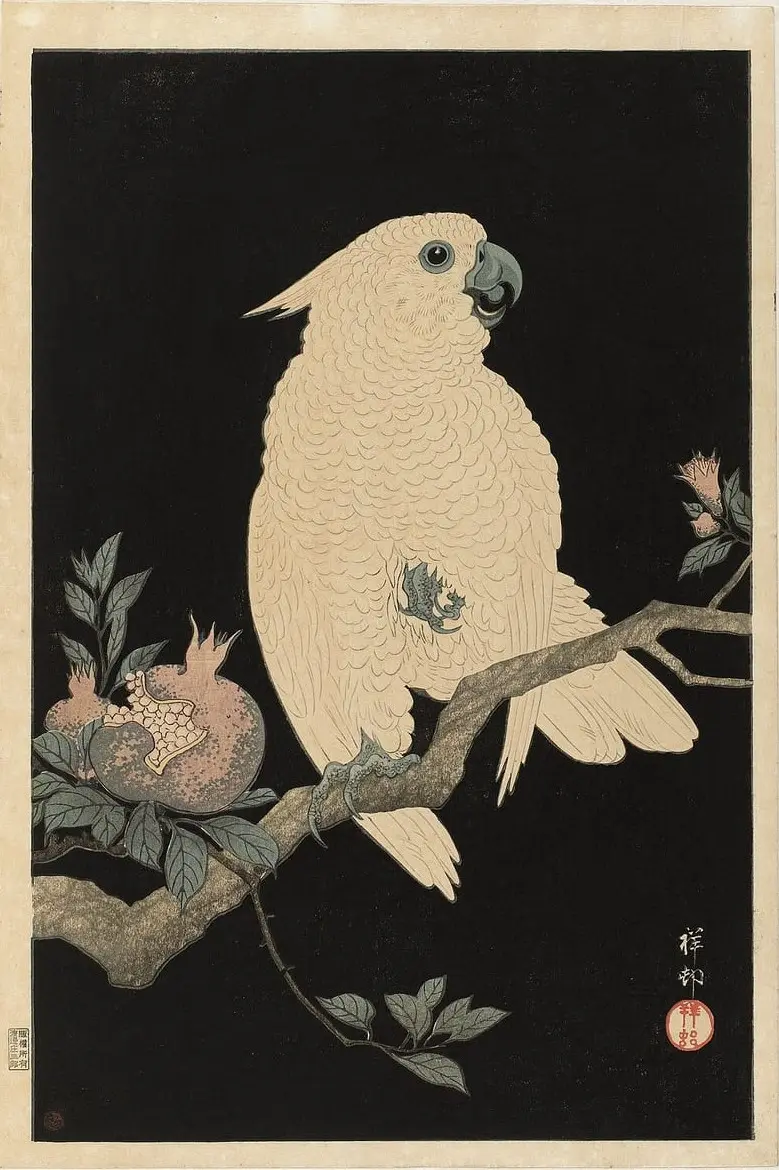 Kaketoe met granaatappel by Ohara Koson, canvas print