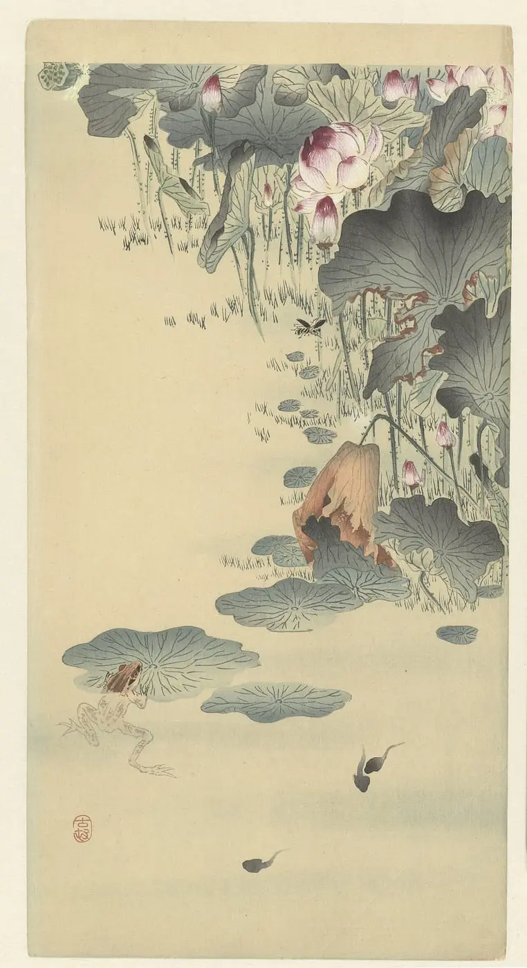 Kikker en kikkervisjes by Ohara Koson, canvas print
