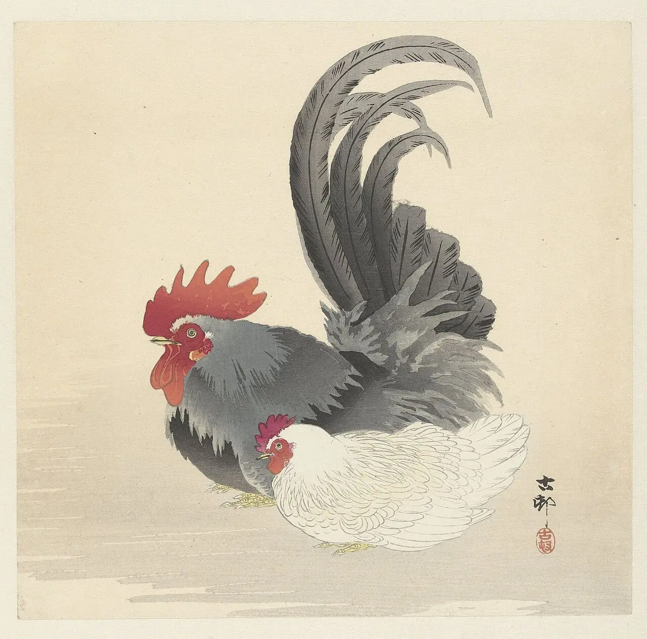 Kip en haan by Ohara Koson, canvas print