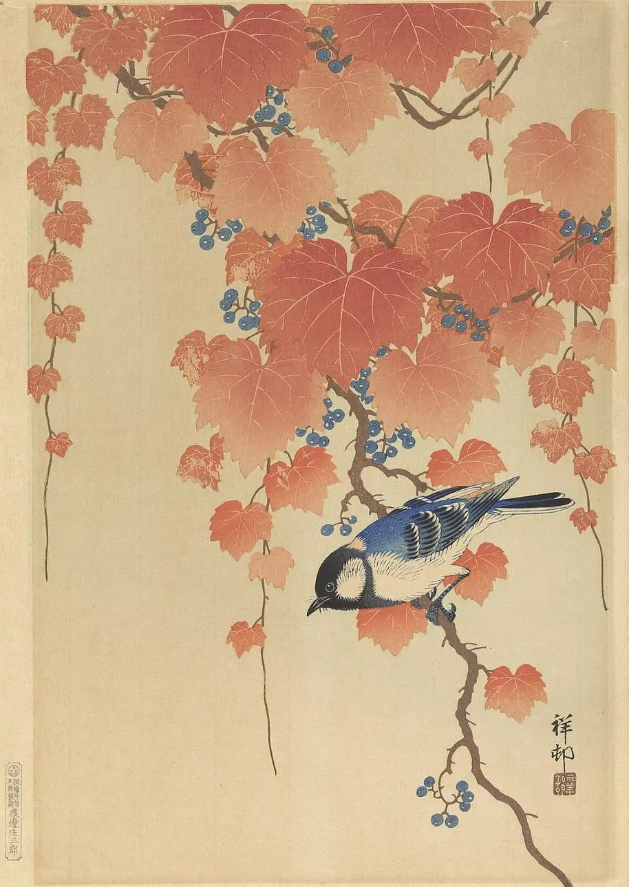 Koolmees op paulownia tak by Ohara Koson, canvas print