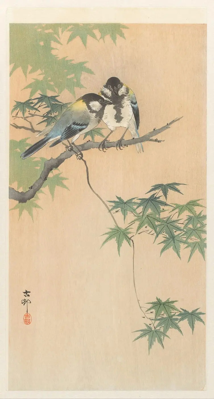 Koolmezen op esdoorntak by Ohara Koson, canvas print