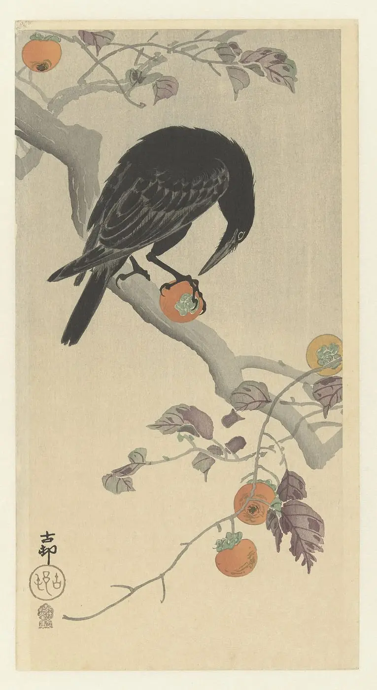 Kraai met kakivrucht by Ohara Koson, canvas print