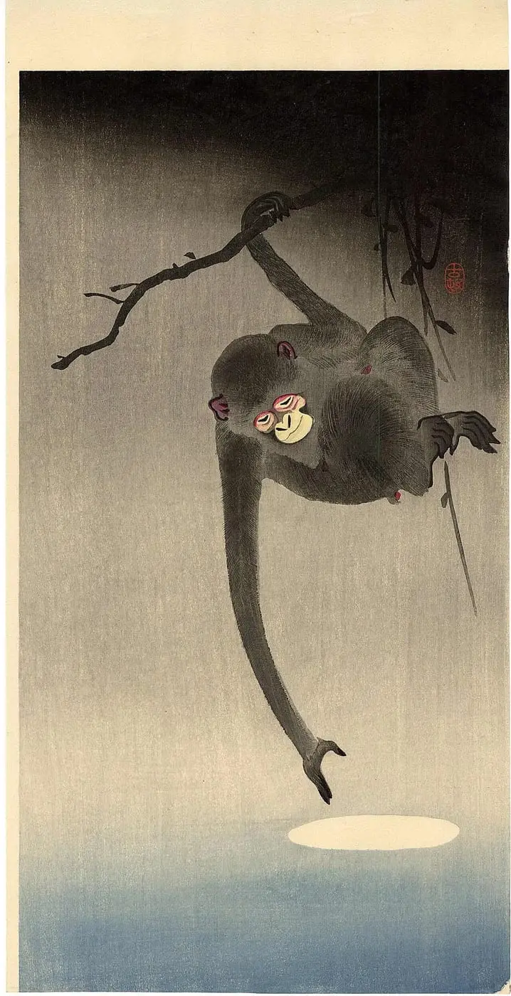 Monkey-moon by Ohara Koson, canvas print