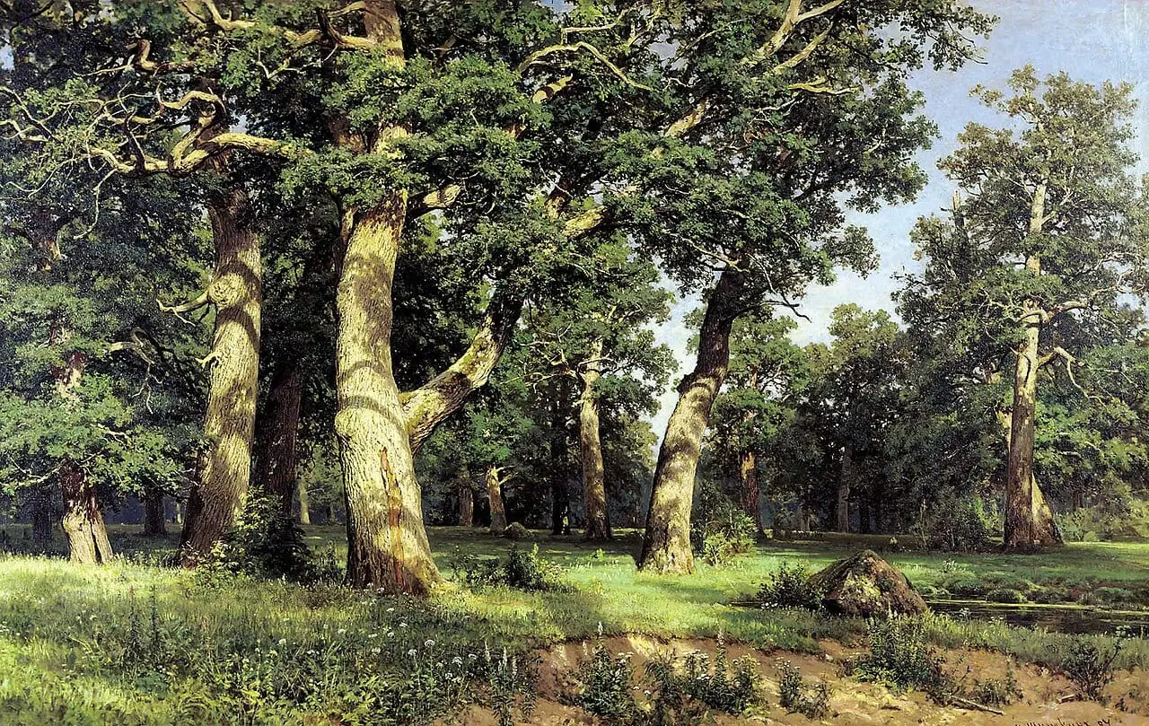 Oak Grove by Ivan Shishkin, canvas print
