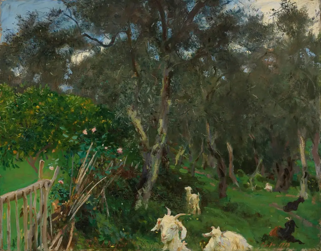 Olives in Corfu by John Singer Sargent, canvas print