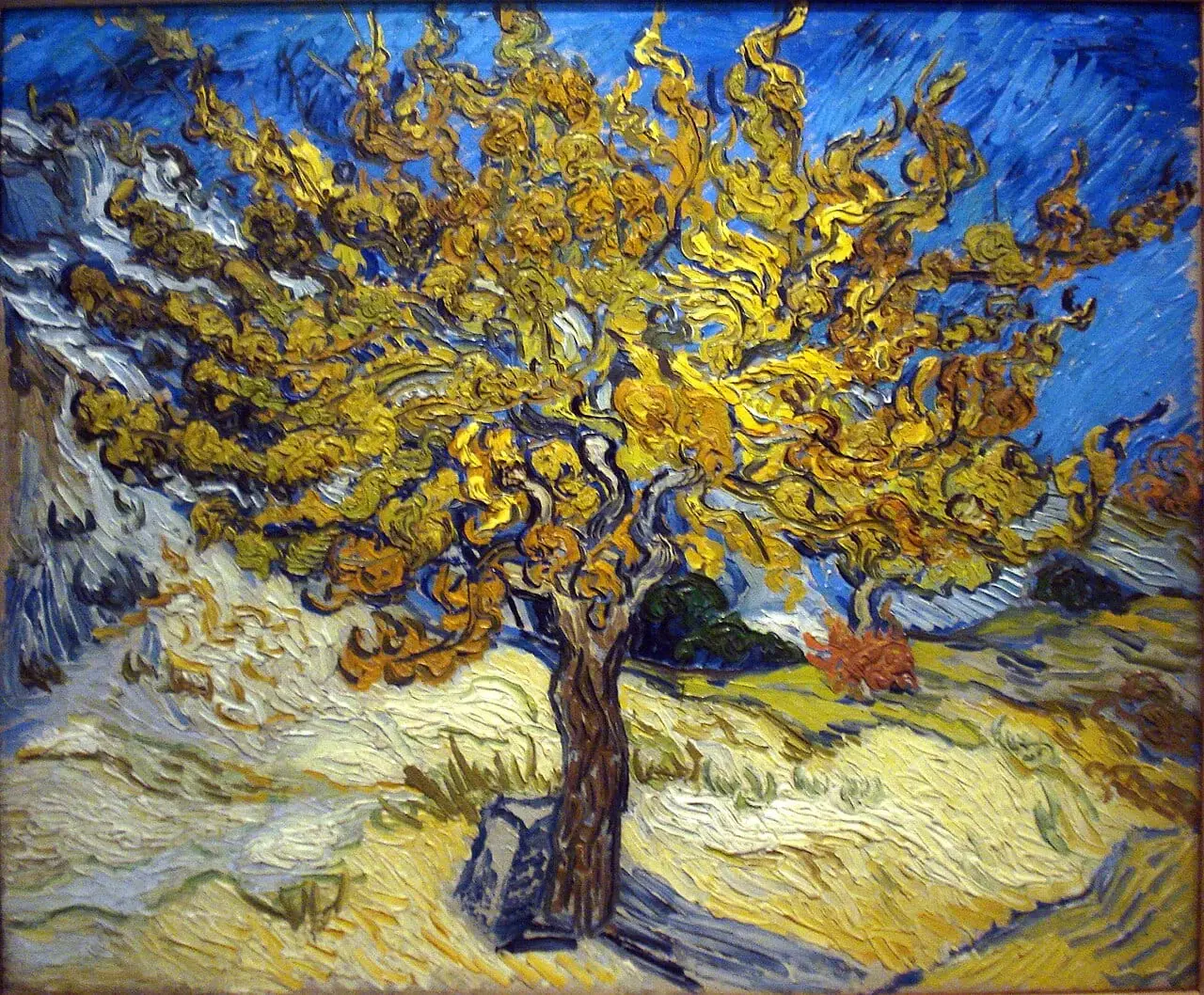 The Mulberry Tree by Vincent van Gogh, canvas print