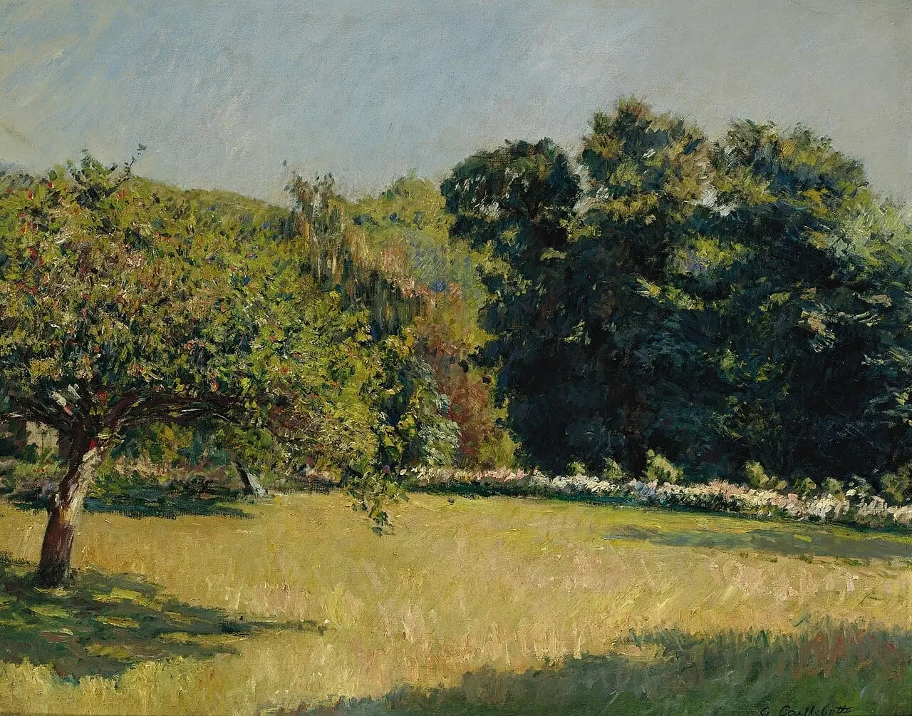 Un jardin à Trouville by Gustave Caillebotte, canvas print