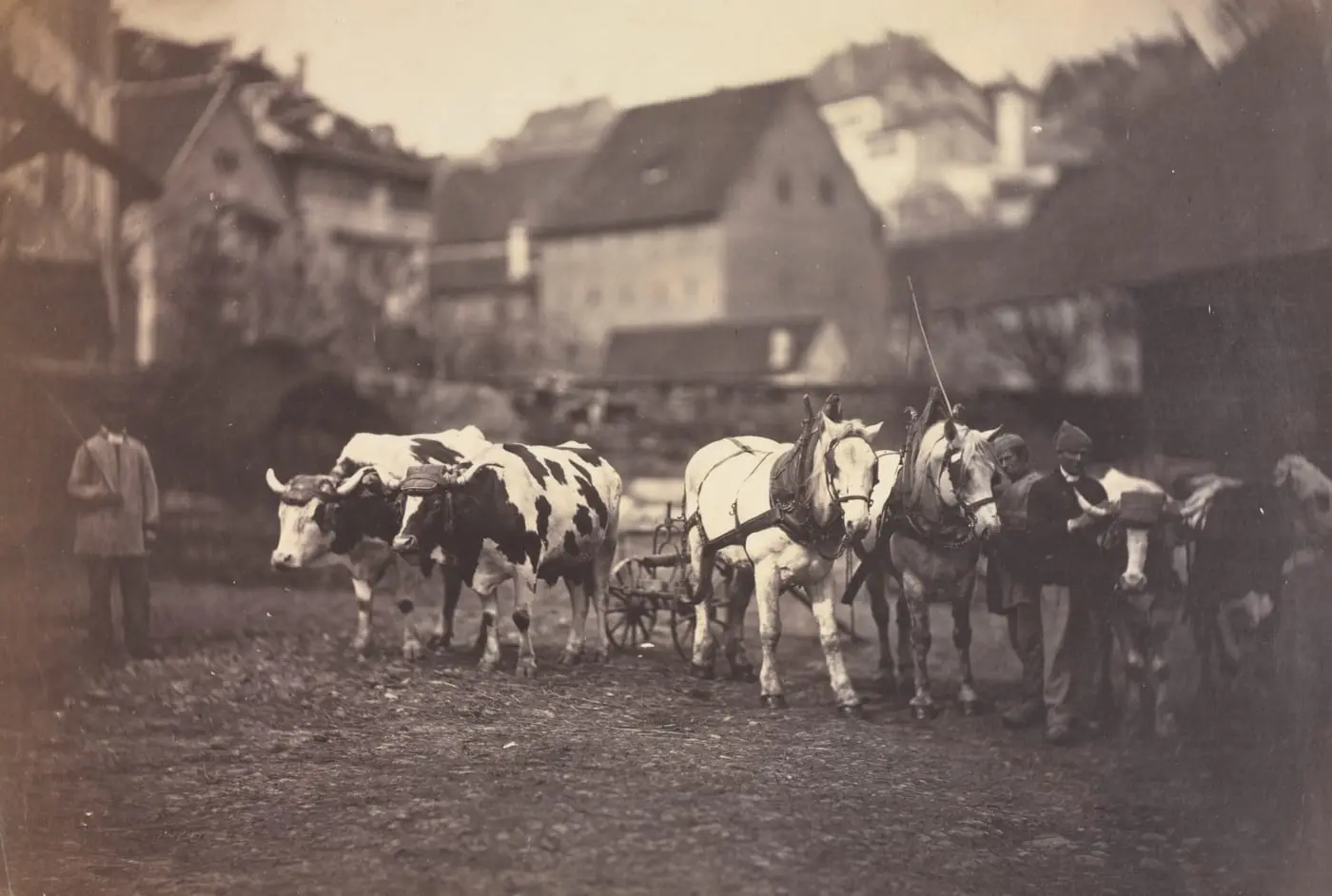 Untitled (Farm Animals) by Adolphe Braun, canvas print