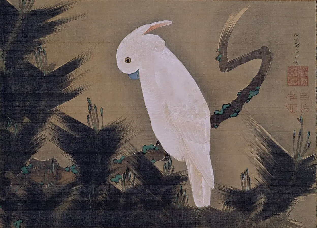 White Cockatoo on a Pine Branch by Itō Jakuchū, canvas print