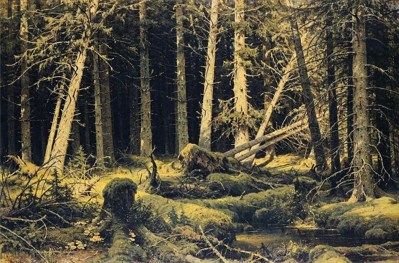 Wind-Fallen Trees by Ivan Shishkin, canvas print