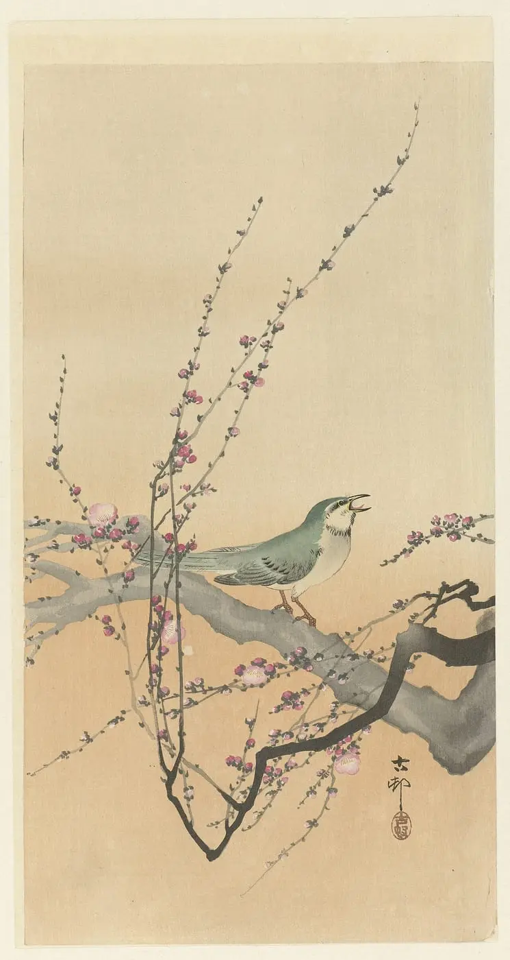 Zangvogel en pruimenbloesem by Ohara Koson, canvas print